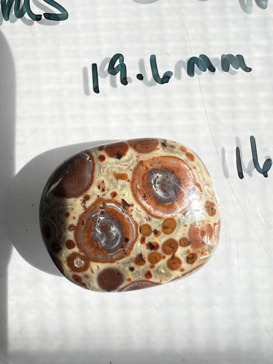 Asteroid Jasper Palm Stone Natural Gemstone