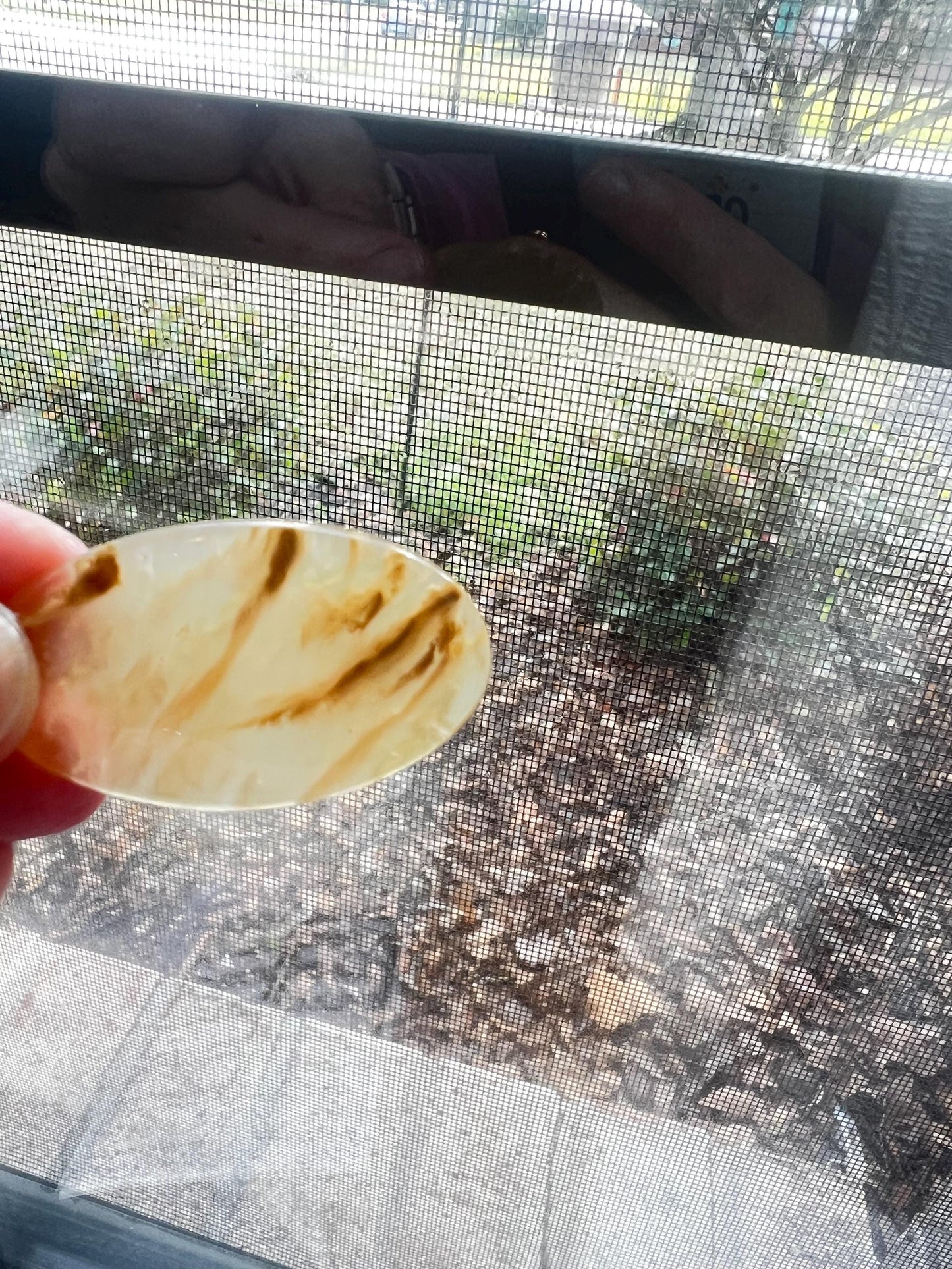 Tiger Dendritic Agate Cabochon